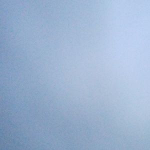 Meet your Posher, Larry